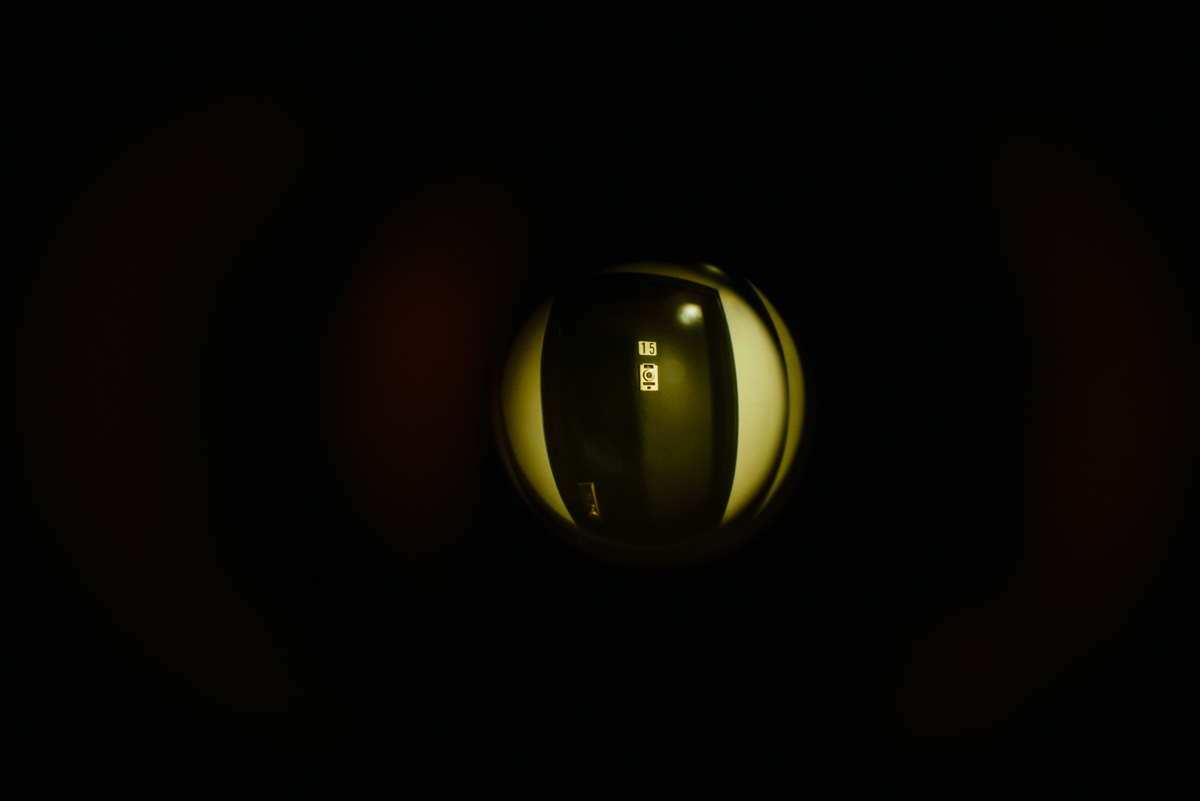 Judith, photograph 3
