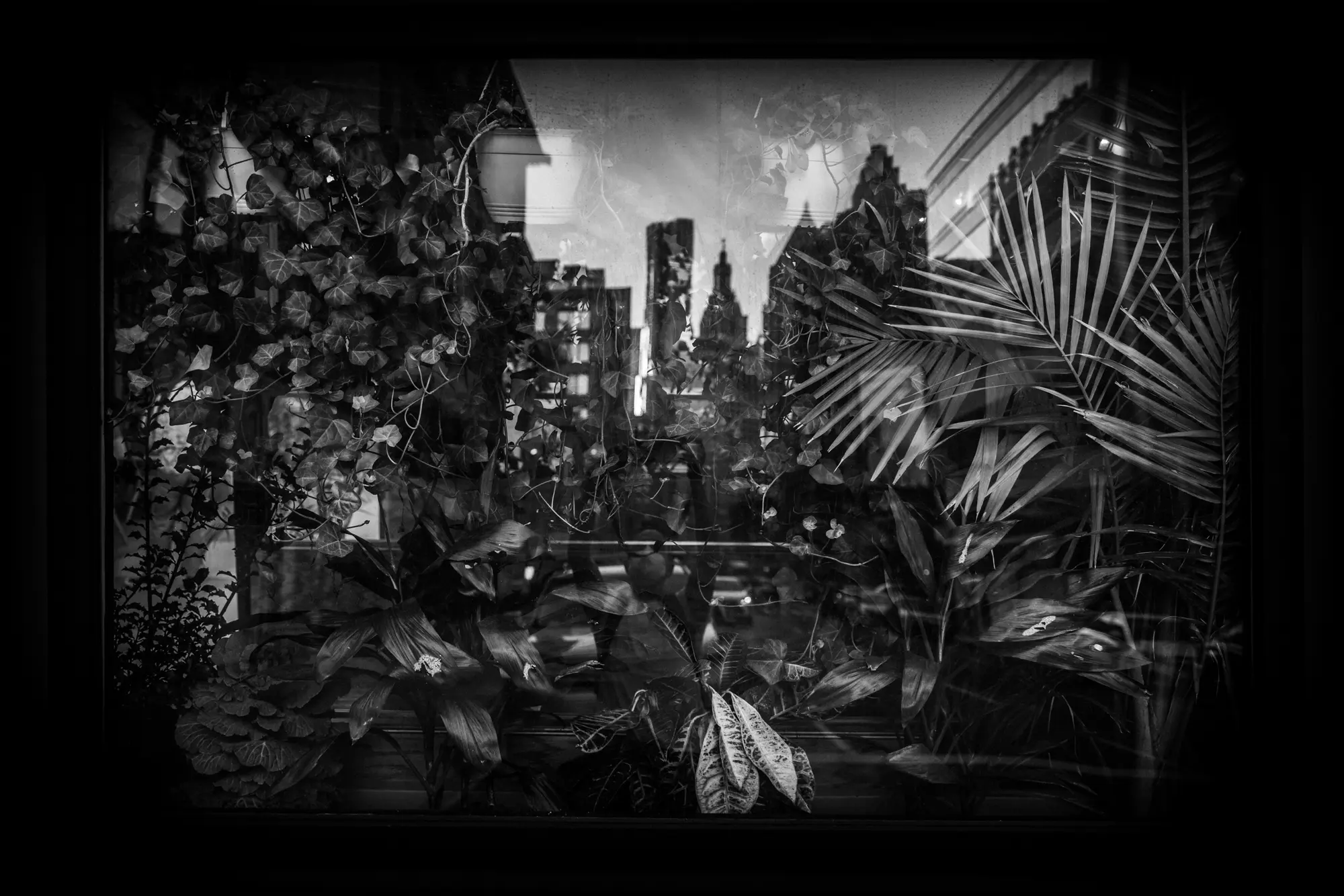 Outdoor dining surrounded by plants