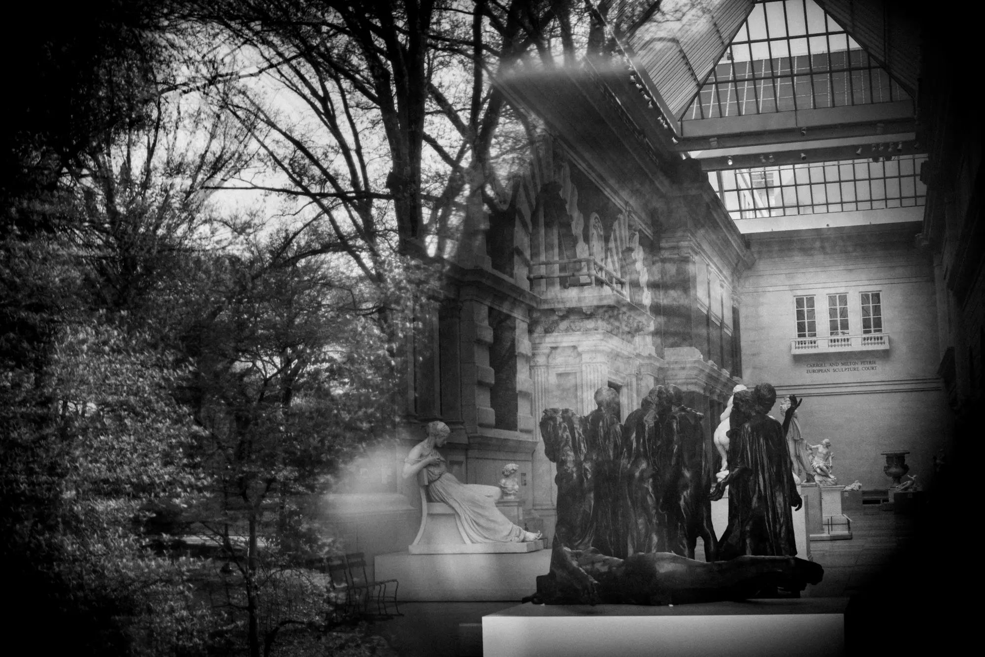 Trees and architecture layered in reflection