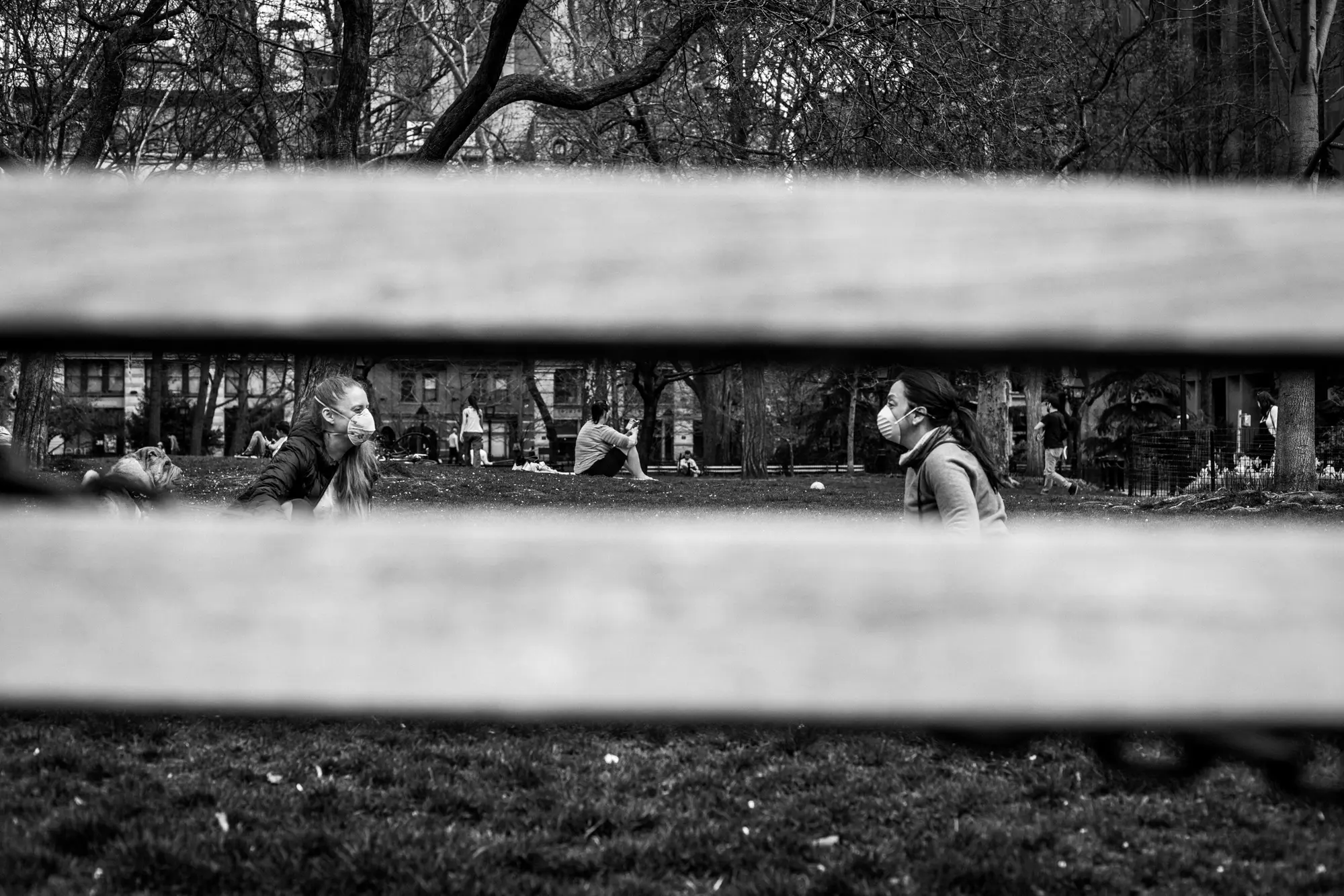 People separated across a park